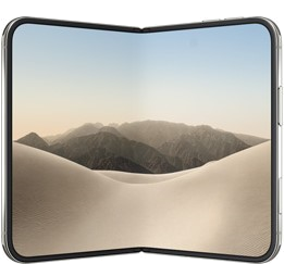 iPhone Duo